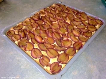 Rezept: Joghurtkuchen mit Zwetschgen Joghurtkuchen mit Zwetschgen - Rezept