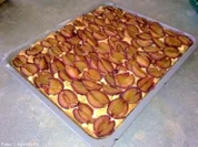 Joghurtkuchen mit Zwetschgen - Rezept