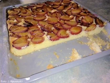 Rezept: Joghurtkuchen mit Zwetschgen Bild Nr. 2 Joghurtkuchen mit Zwetschgen - Rezept - Bild Nr. 2