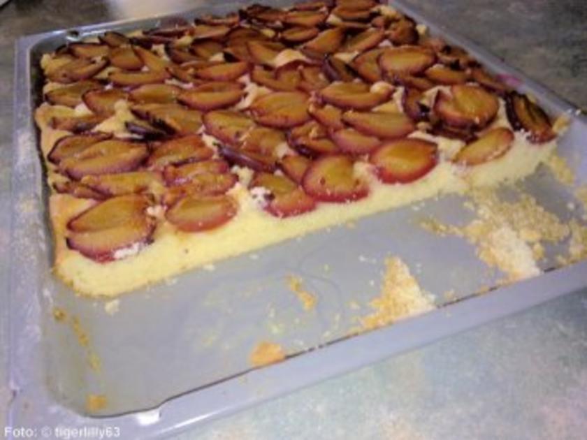 Joghurtkuchen mit Zwetschgen - einfach - von tigerlilly63