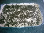 Streitschlichter - Rezept