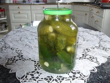 Salzgurken zum gleich essen - Rezept