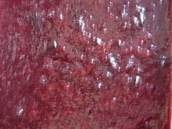 Zwetschgen mit Orangen - Mascarpone - Rezept - Bild Nr. 2