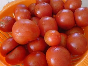 Rezept: Bohnensalat schmeckt auch gut mit Kochmettwurst Bild Nr. 11 Bohnensalat schmeckt auch gut mit Kochmettwurst - Rezept - Bild Nr. 11