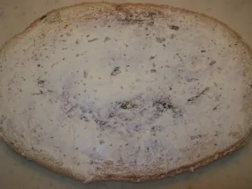 Rezept: Aus dem Backofen - Riesenstulle Bild Nr. 6 Aus dem Backofen - Riesenstulle - Rezept - Bild Nr. 6