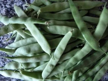 Knusprige Honig-Haxen an Gartenböhnchen in kräutrigem Ziegenrahm - Rezept - Bild Nr. 3