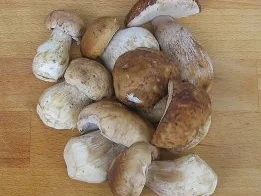 Rezept: Steinpilze mit Sahnetagliatelle und Parmaschinken Bild Nr. 2 Steinpilze mit Sahnetagliatelle und Parmaschinken - Rezept - Bild Nr. 2