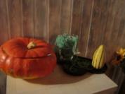 Kürbis - Halloween - Rezept