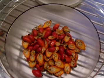 Rezept: Hagebutten-Orangen- Hagebutten-Orangen- - Rezept