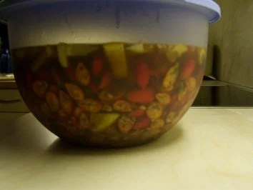 Rezept: Hagebuttenlikör Bild Nr. 11 Hagebuttenlikör - Rezept - Bild Nr. 11