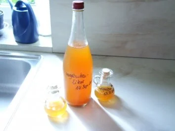 Rezept: Hagebuttenlikör Bild Nr. 12 Hagebuttenlikör - Rezept - Bild Nr. 12