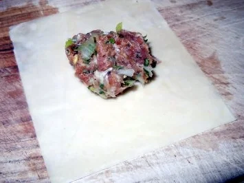 Dim Sum a la Caro - Rezept - Bild Nr. 5