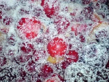 Rezept: 3-Frucht-Marmelade Bild Nr. 11 3-Frucht-Marmelade - Rezept - Bild Nr. 11