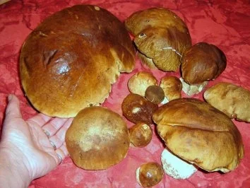 Rezept: Steinpilz im Baconmantel Bild Nr. 3 Steinpilz im Baconmantel - Rezept - Bild Nr. 3