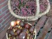 Von einem der auszog... - Rezept