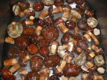 Von einem der auszog... - Rezept - Bild Nr. 2