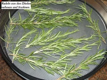 Rezept: Diverses: KRÄUTER - SALZ - MISCHUNG Bild Nr. 3 Diverses: KRÄUTER - SALZ - MISCHUNG - Rezept - Bild Nr. 3