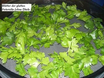 Rezept: Diverses: KRÄUTER - SALZ - MISCHUNG Bild Nr. 7 Diverses: KRÄUTER - SALZ - MISCHUNG - Rezept - Bild Nr. 7