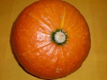 Kartoffelinsel in Kürbismeer mit Schiffswrackteilen - Rezept