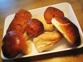 Pilze für den Vorrat ... - Rezept