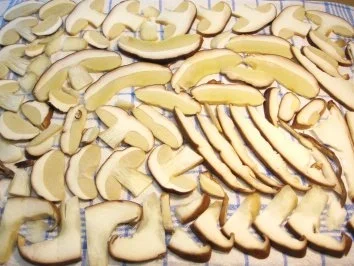 Pilze für den Vorrat ... - Rezept - Bild Nr. 4