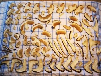 Pilze für den Vorrat ... - Rezept - Bild Nr. 5