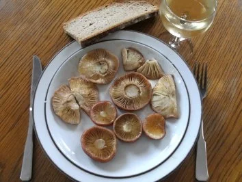 Pilze: Täublinge gebraten - Rezept - Bild Nr. 5