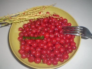 Joghurtcreme mit beschwipsten Johannisbeeren - Rezept - Bild Nr. 3