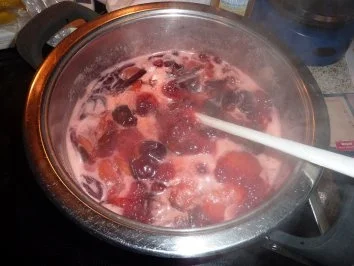 Rezept: Dessert: Pflaumen-Joghurt-Dessert Bild Nr. 2 Dessert: Pflaumen-Joghurt-Dessert - Rezept - Bild Nr. 2