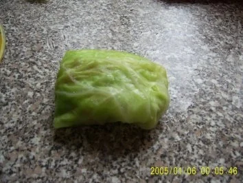 Rezept: Spitzkohl-Rouladen Bild Nr. 5 Spitzkohl-Rouladen - Rezept - Bild Nr. 5