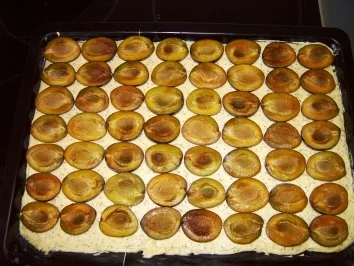 Rezept: Mohn-Zwetschgenkuchen Bild Nr. 6 Mohn-Zwetschgenkuchen - Rezept - Bild Nr. 6