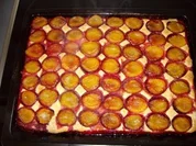 Mohn-Zwetschgenkuchen - Rezept