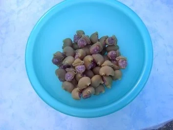 Rezept: Mett - Nudeln mit Kräutersahne Bild Nr. 2 Mett - Nudeln mit Kräutersahne - Rezept - Bild Nr. 2