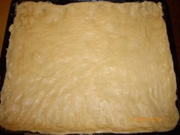 Rezept: Pflaumenkuchen mit Puddingdecke und Hefeteigboden (nach Mama's Rezept !!!) Pflaumenkuchen mit Puddingdecke und Hefeteigboden (nach Mama's Rezept !!!) - Rezept