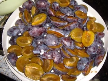 Rezept: Pflaumenkuchen mit Puddingdecke und Hefeteigboden (nach Mama's Rezept !!!) Bild Nr. 2 Pflaumenkuchen mit Puddingdecke und Hefeteigboden (nach Mama's Rezept !!!) - Rezept - Bild Nr. 2