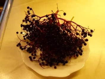 Holunderbeeren-Konfitüre - Rezept - Bild Nr. 2