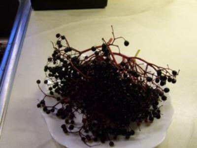 Rezept: Holunderbeeren-Konfitüre Holunderbeeren-Konfitüre - Rezept