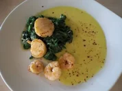 Jakobsmuscheln und Garnelen mariniert, mit Blattspinat und Sekt-Safran-Sauce - Rezept