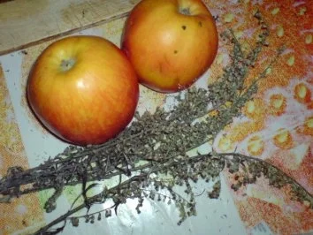 Rezept: Entenbraten mit Waldpilzgemüse Bild Nr. 5 Entenbraten mit Waldpilzgemüse - Rezept - Bild Nr. 5