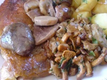 Rezept: Entenbraten mit Waldpilzgemüse Bild Nr. 20 Entenbraten mit Waldpilzgemüse - Rezept - Bild Nr. 20
