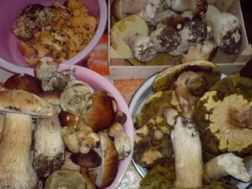 Waldpilzgemüse - Rezept - Bild Nr. 3