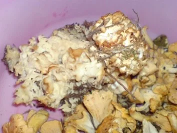 Waldpilzgemüse - Rezept - Bild Nr. 4