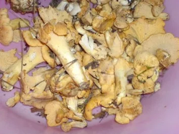 Waldpilzgemüse - Rezept - Bild Nr. 9