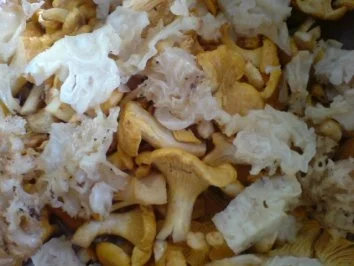 Waldpilzgemüse - Rezept - Bild Nr. 15