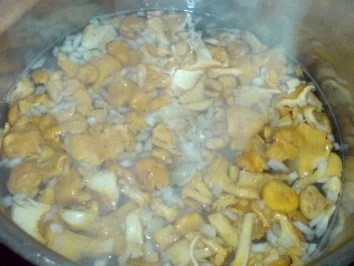 Waldpilzgemüse - Rezept - Bild Nr. 16