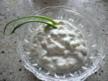 selbstgemachte Knoblauchsoße -leicht und lecker! - Rezept - kochbar.de