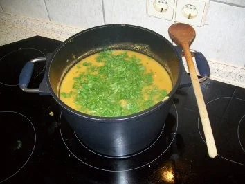 Rezept: Rote Linsensuppe Bild Nr. 3 Rote Linsensuppe - Rezept - Bild Nr. 3