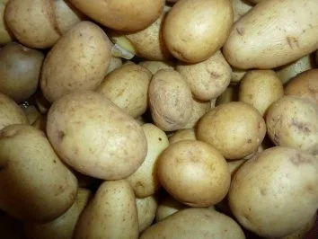 Rezept: Der leckere Party-Restesalat Bild Nr. 6 Der leckere Party-Restesalat - Rezept - Bild Nr. 6