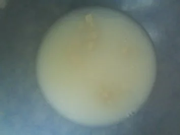 Rezept: Mediterrane Vollkornbrötchen Bild Nr. 4 Mediterrane Vollkornbrötchen - Rezept - Bild Nr. 4