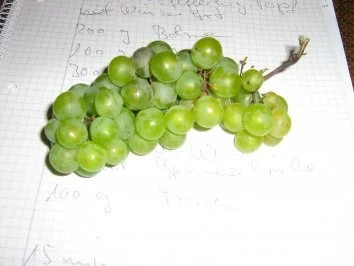 Rezept: Bohnen-Pfifferling-Topf Winzerart Bild Nr. 6 Bohnen-Pfifferling-Topf Winzerart - Rezept - Bild Nr. 6